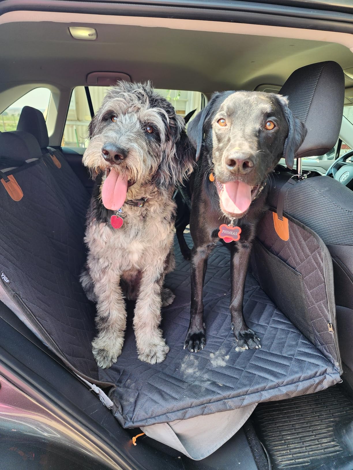 Hard Bottom Dog Seat Cover