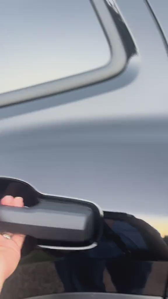 Hard Bottom Dog Seat Cover video