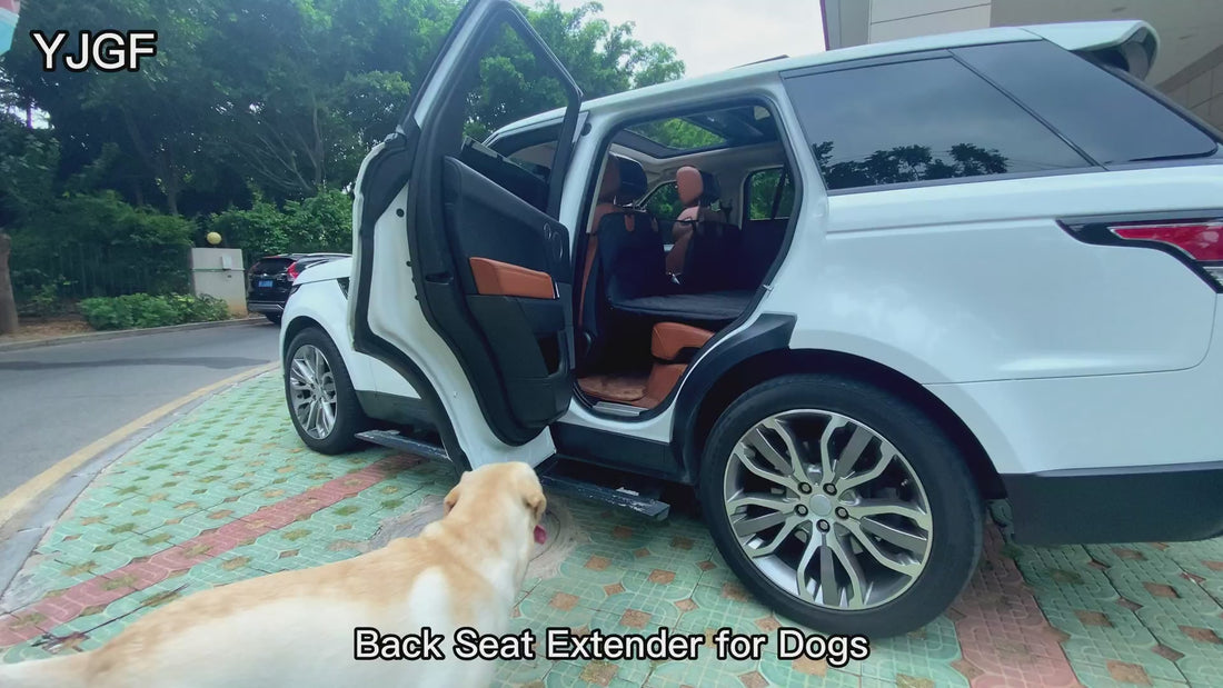 Hard Bottom Dog Seat Cover video